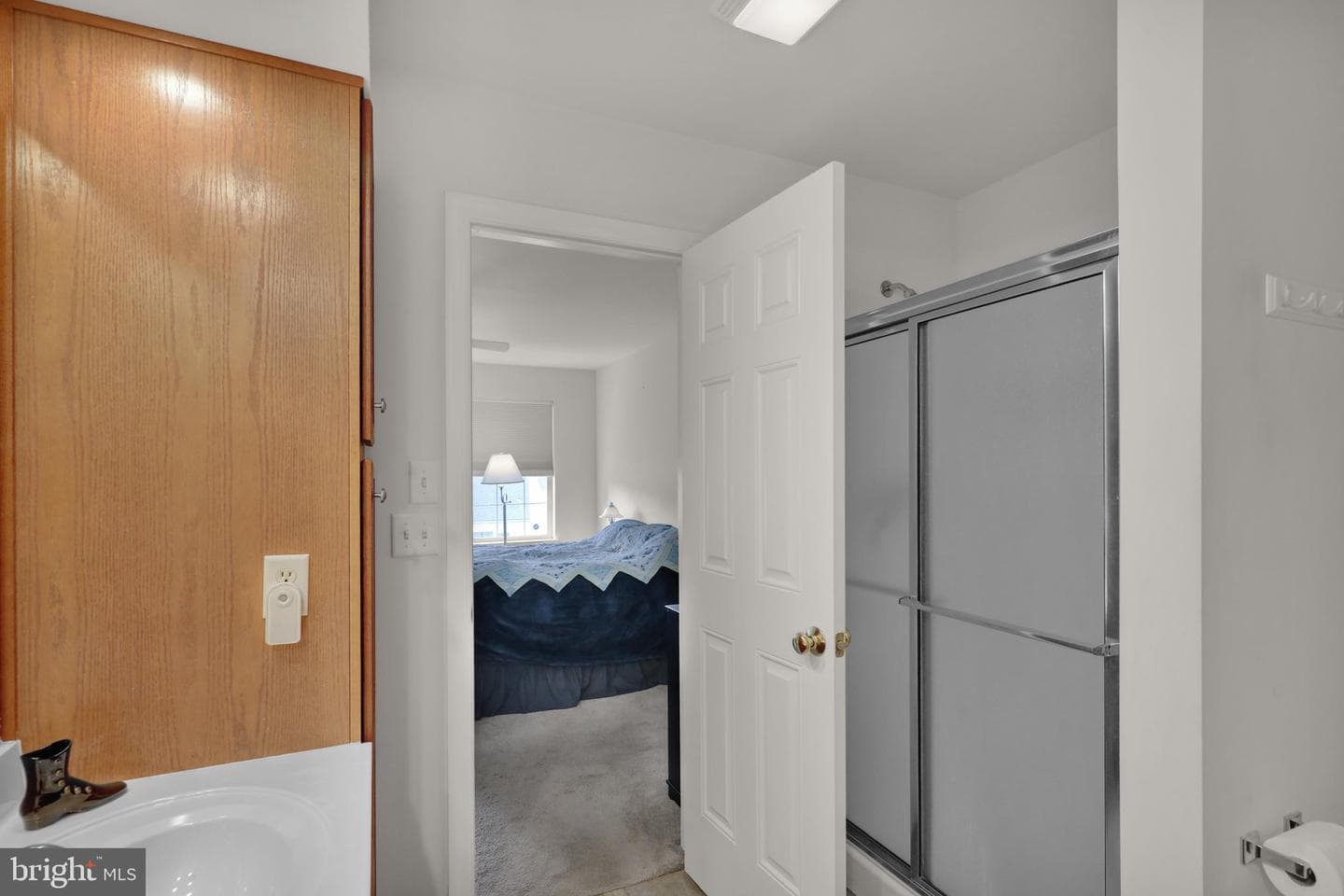 103 Goldenfield Drive photo 19