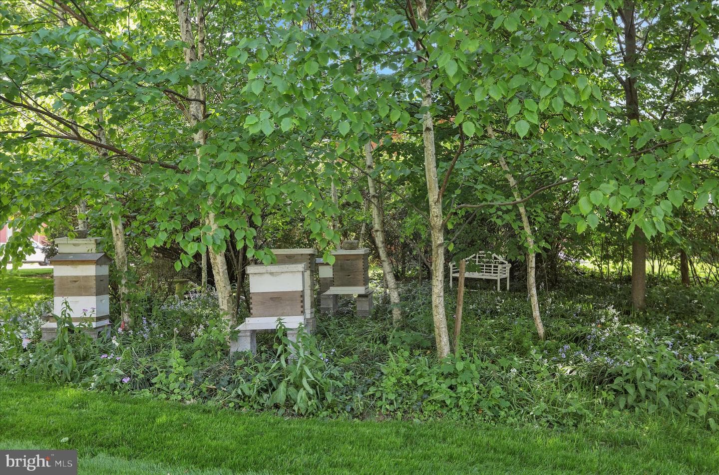 27 E Main Street photo 53