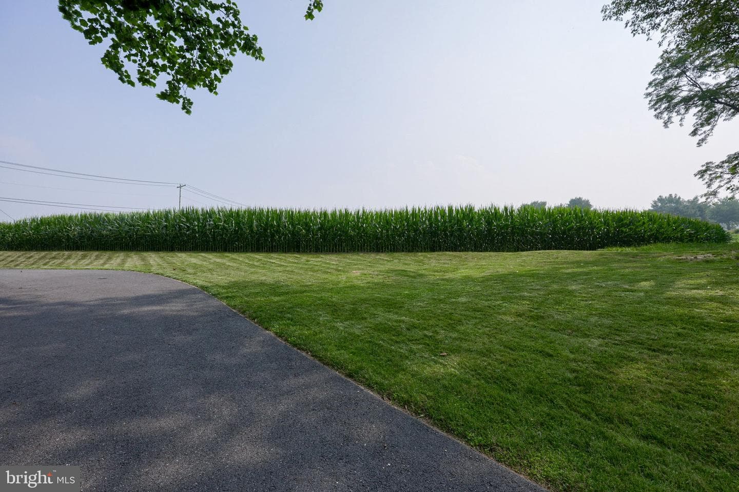 1150 Clay Road photo 59