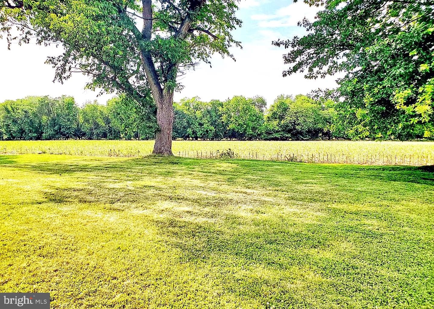 914 W Fairway Drive photo 6