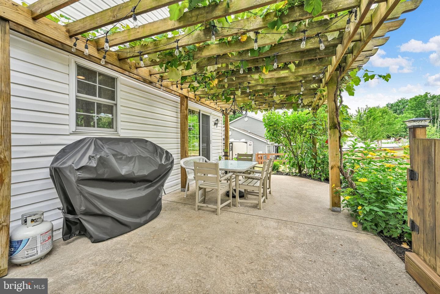 217 Spruce Street photo 34