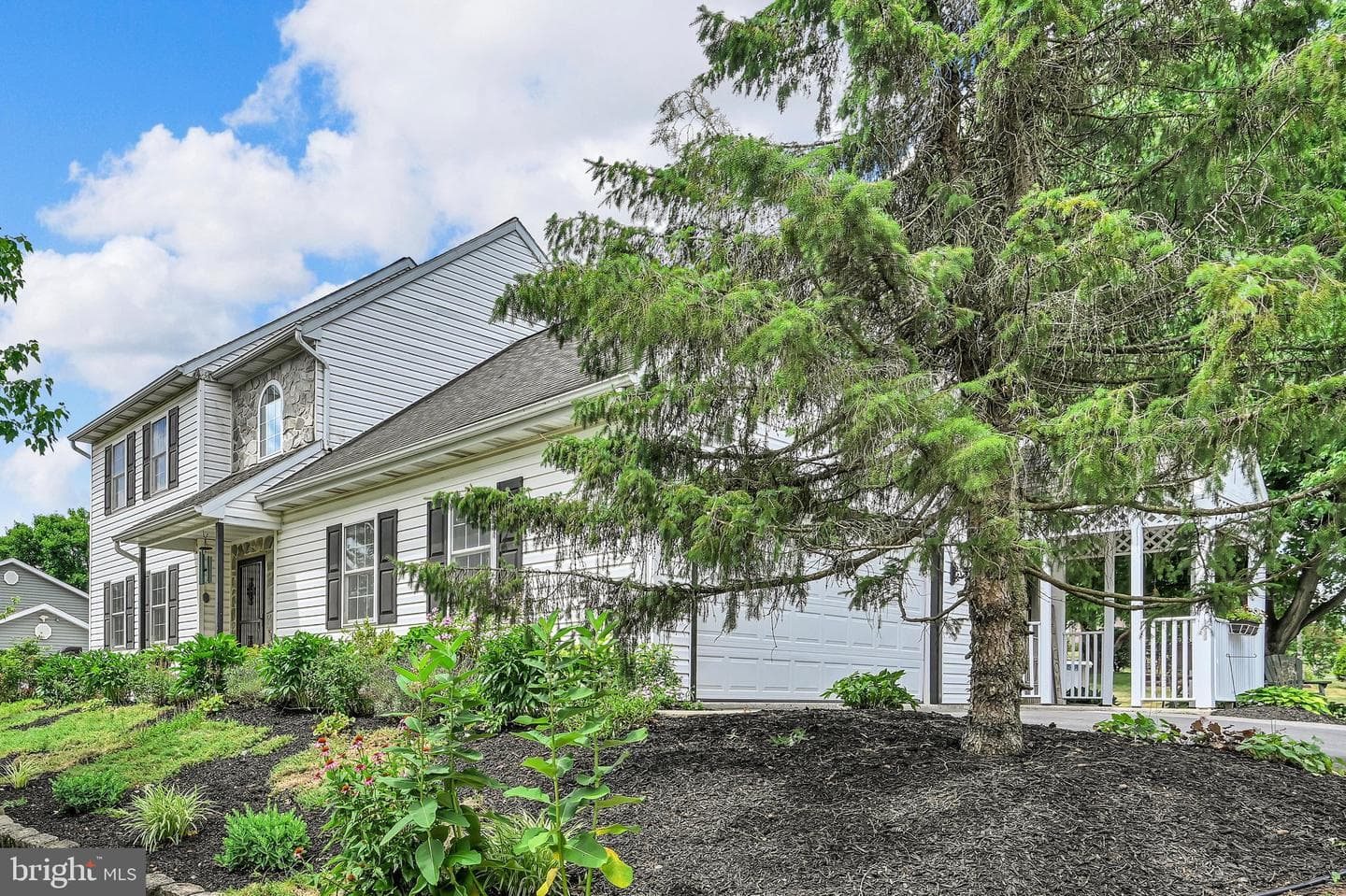 217 Spruce Street photo 7