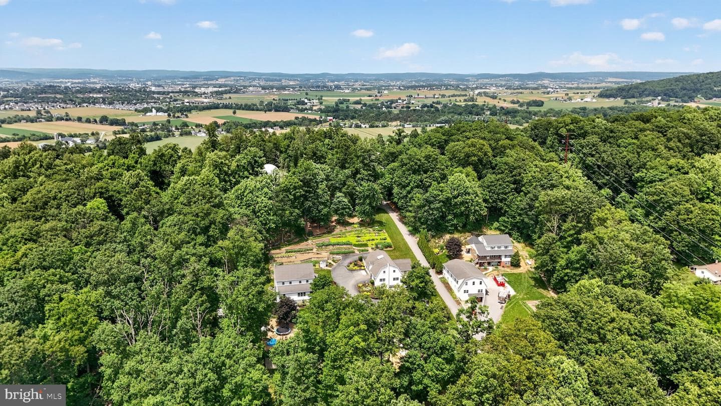 257 Hill Road photo 13