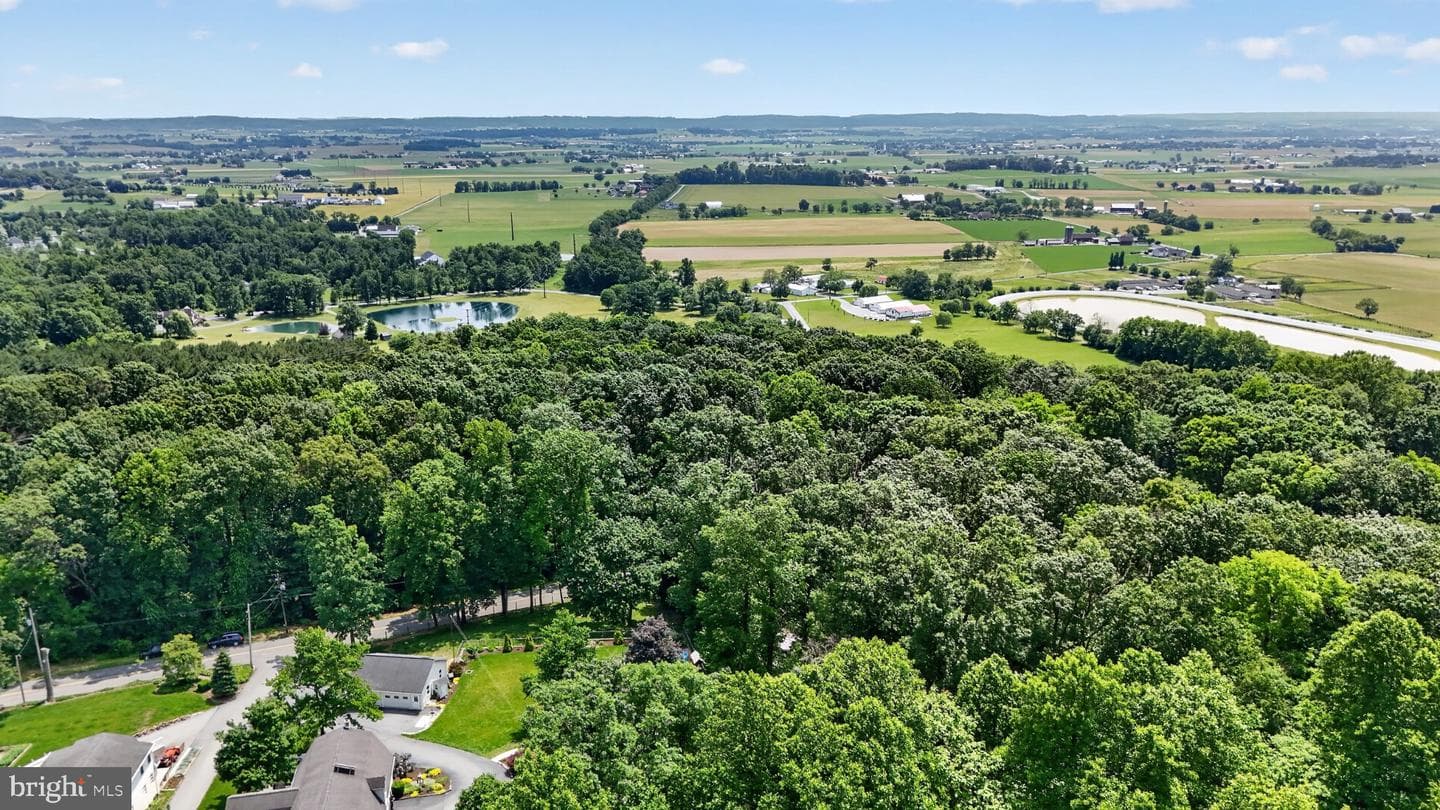 257 Hill Road photo 14