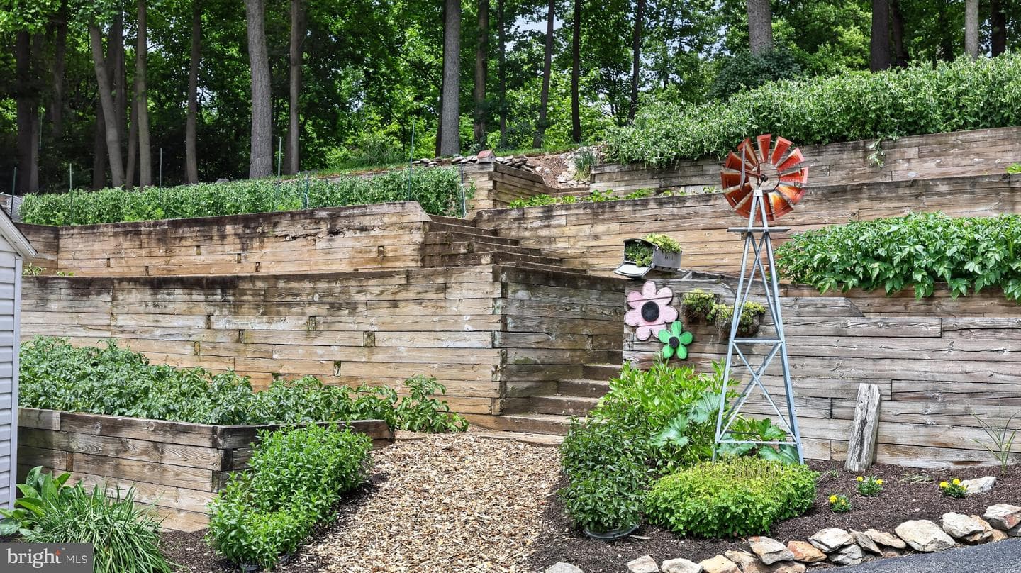 257 Hill Road photo 23