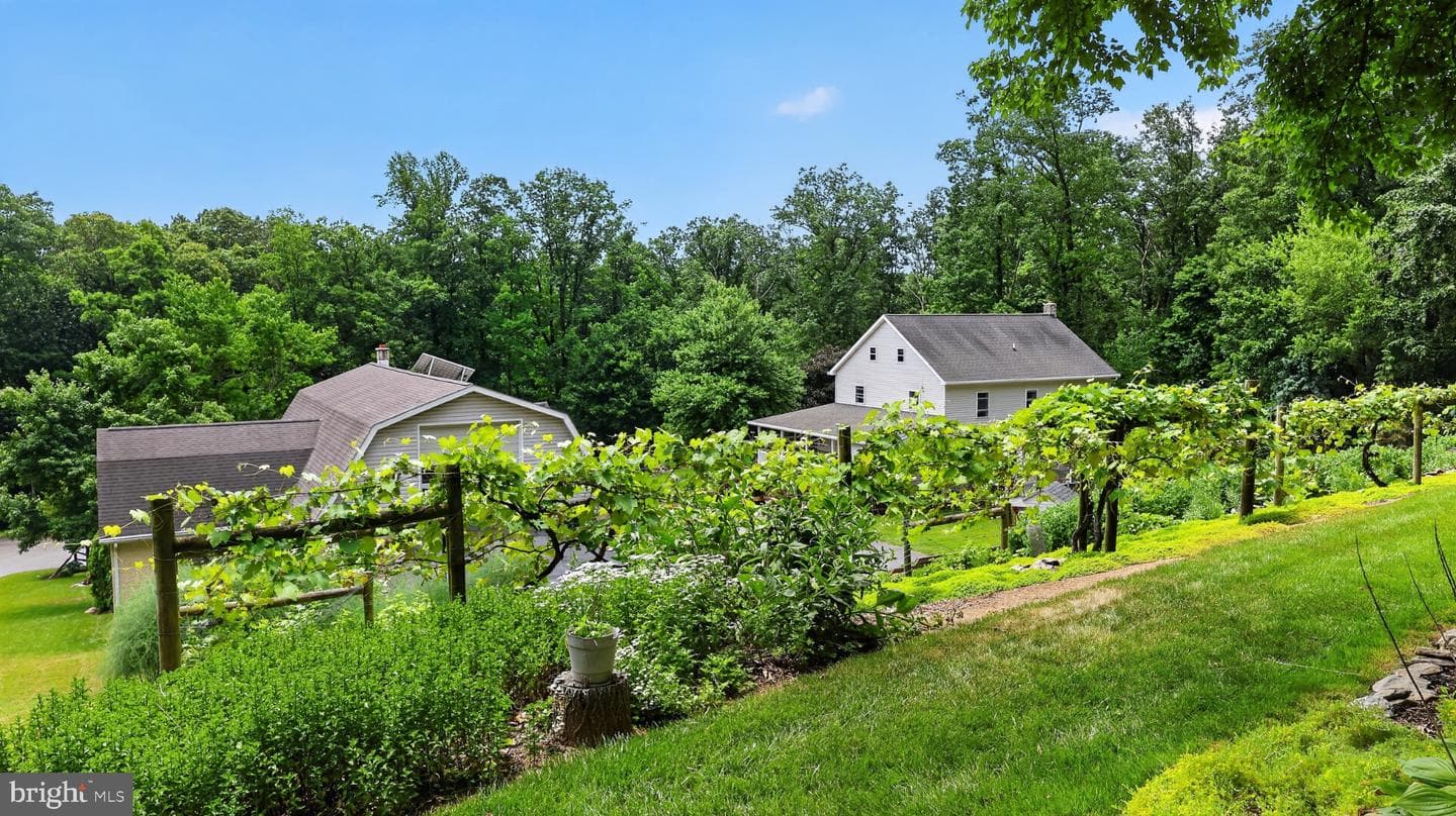 257 Hill Road photo 28