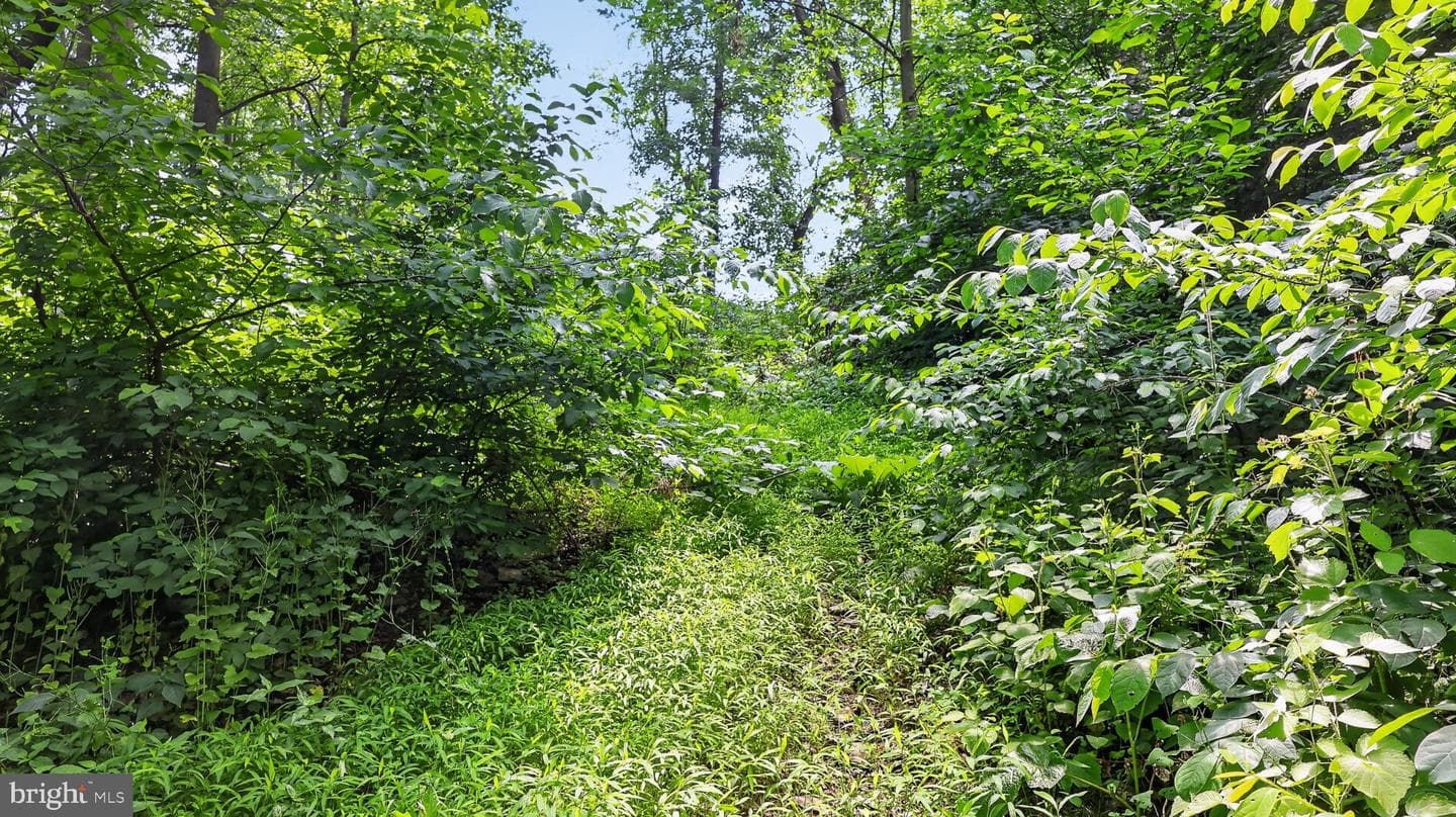257 Hill Road photo 91