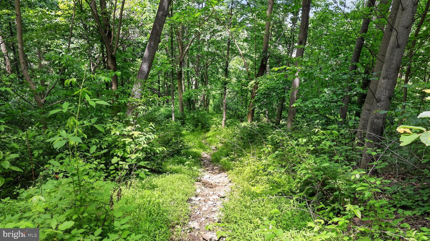257 Hill Road photo 92