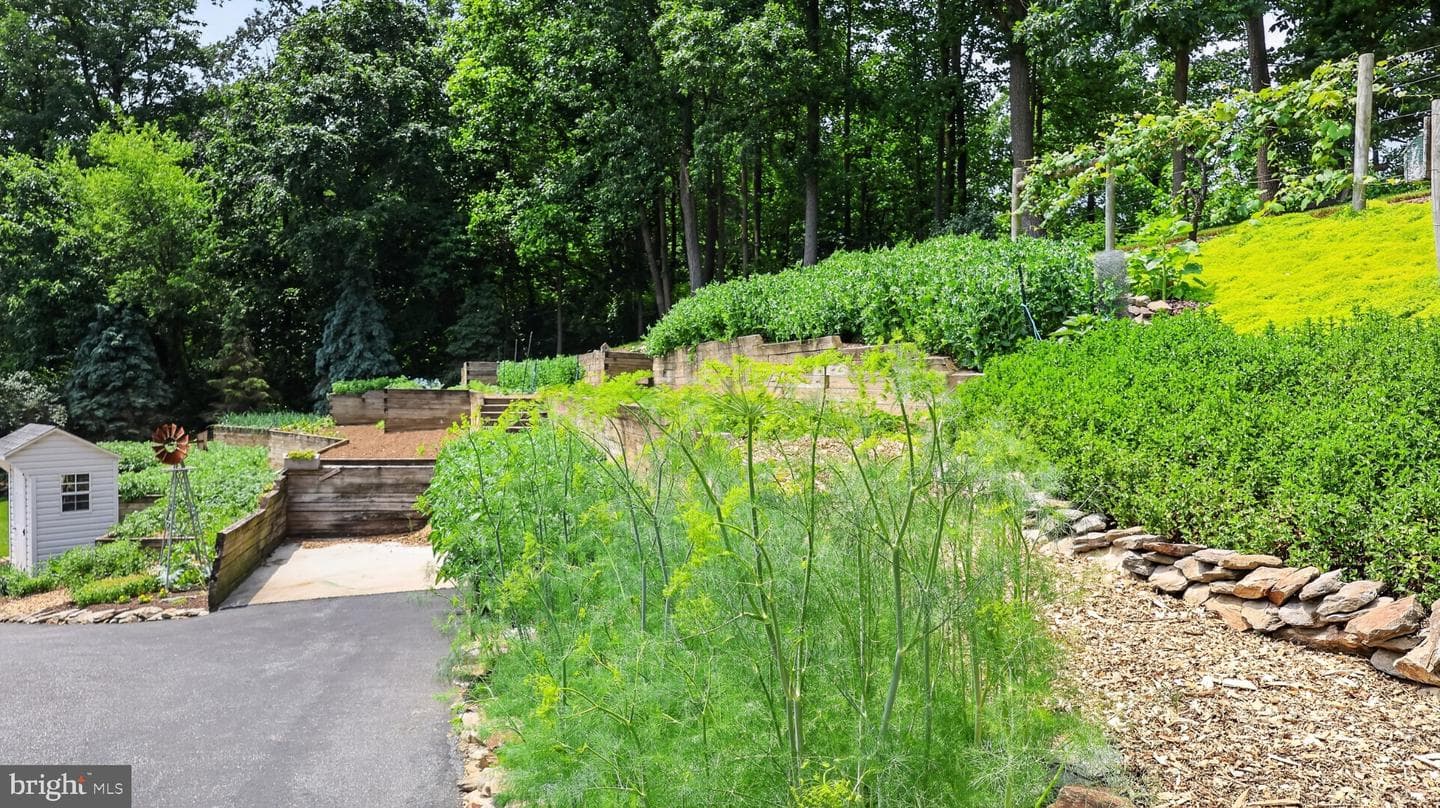 257 Hill Road photo 93