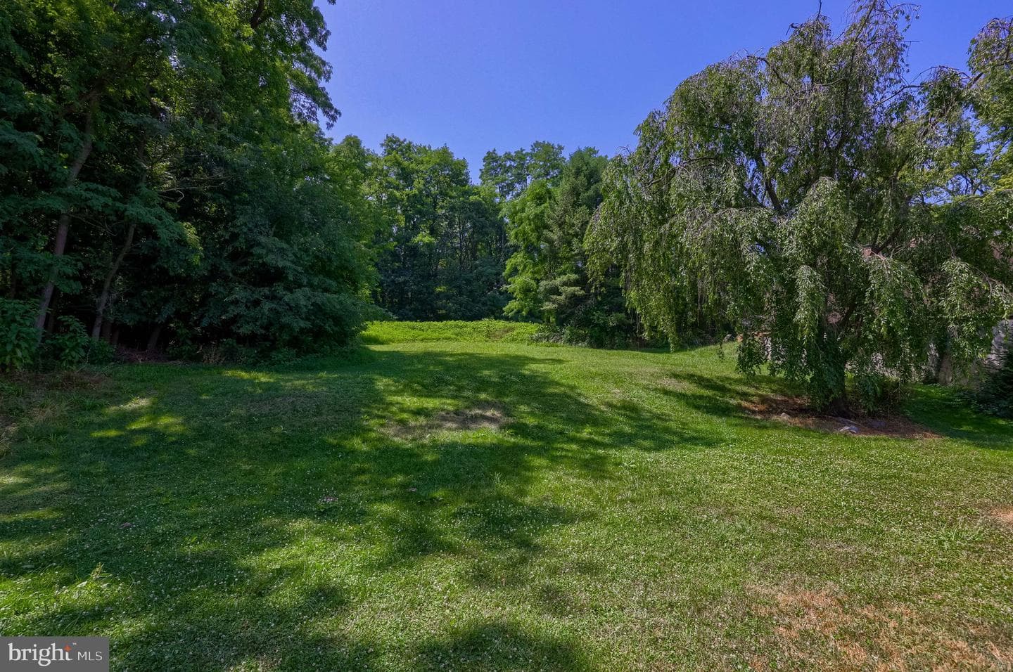 160 Buch Avenue photo 27