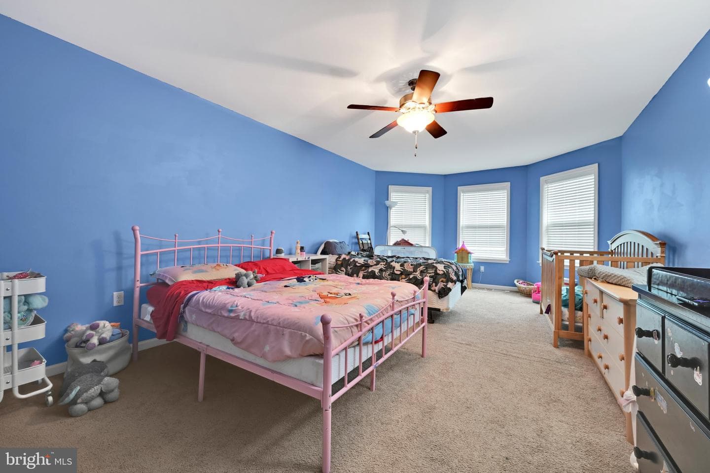 234 Crimson Lane photo 43