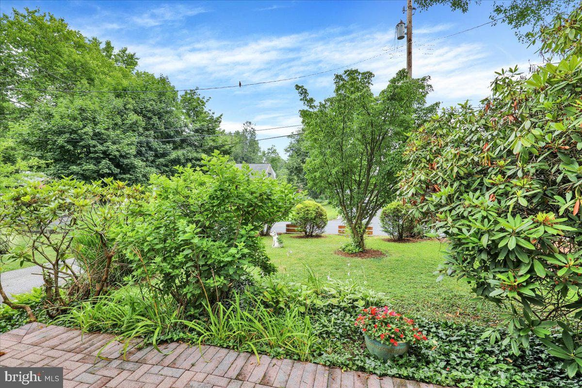16 Jackson Drive photo 4