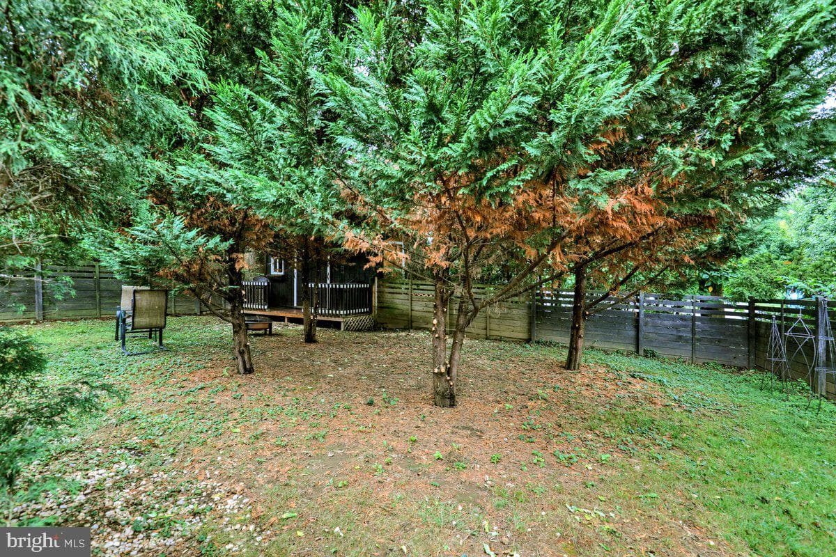 16 Jackson Drive photo 54