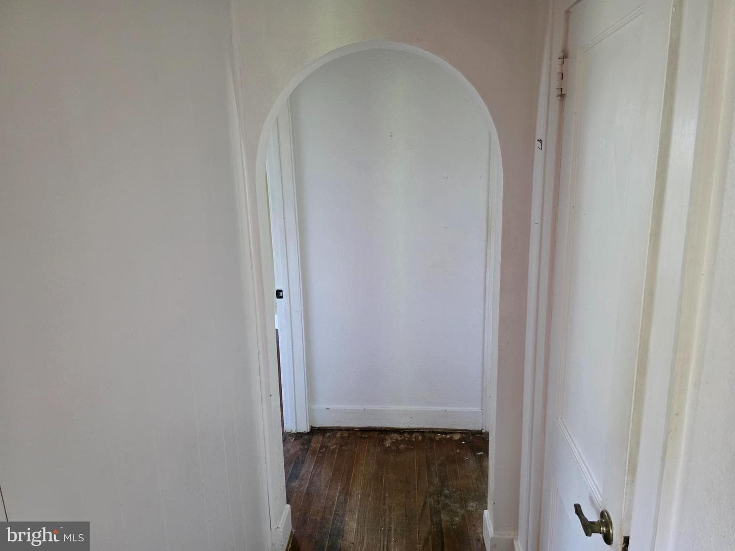 317 E Washington Street photo 9