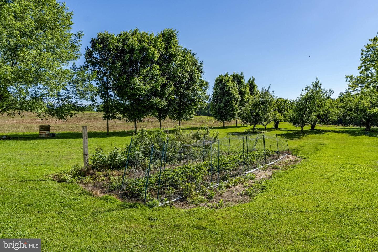 131 Pinetown Road photo 33