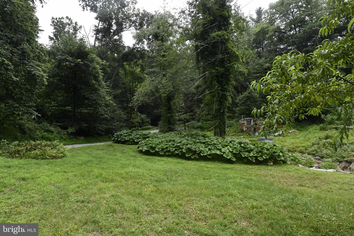 1832 Fern Glen Drive photo 19