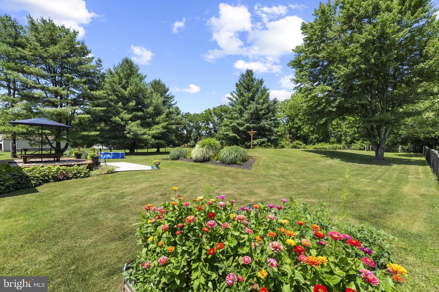 50 Saddler Drive photo 45