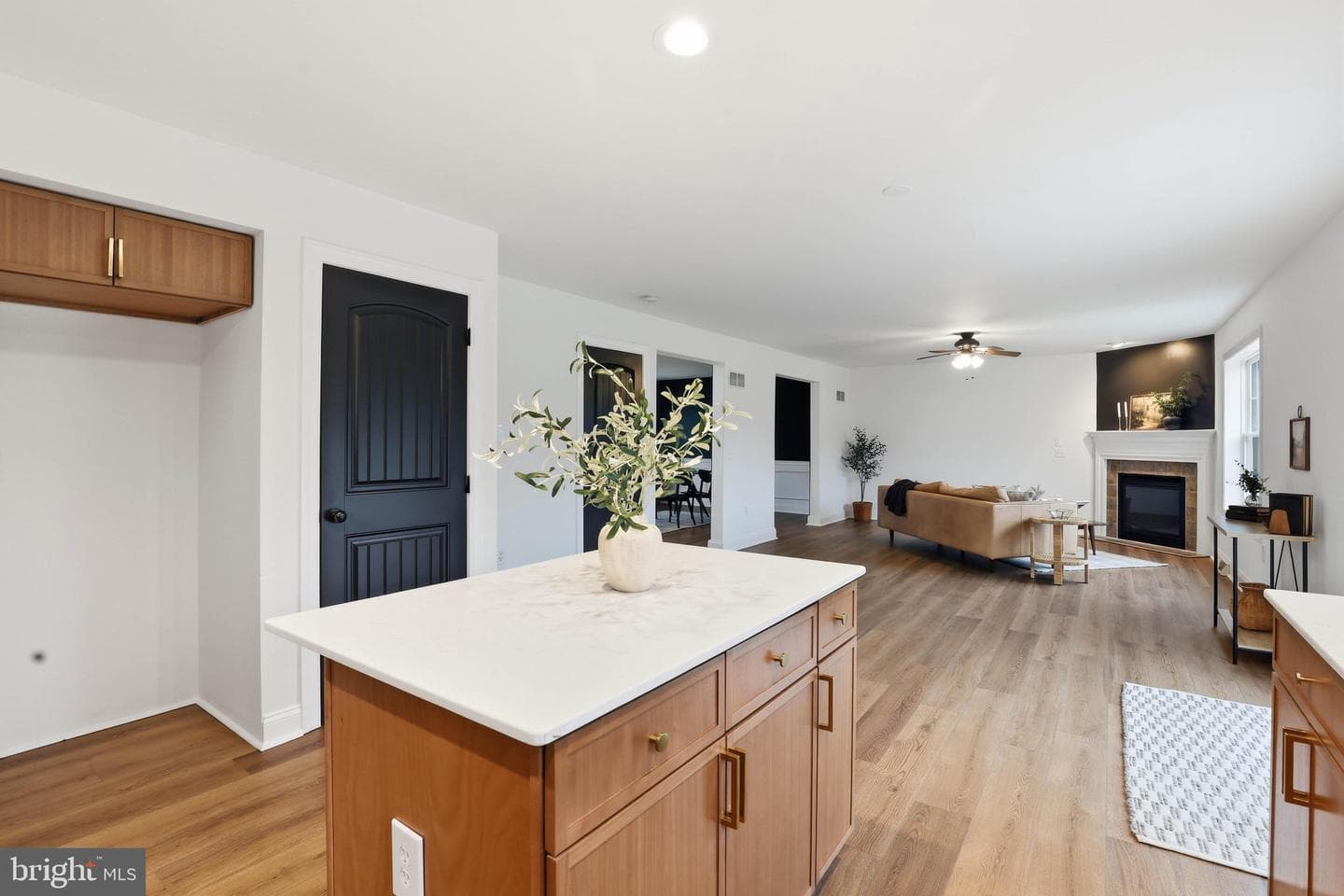 125 Woodmeadow Drive photo 12
