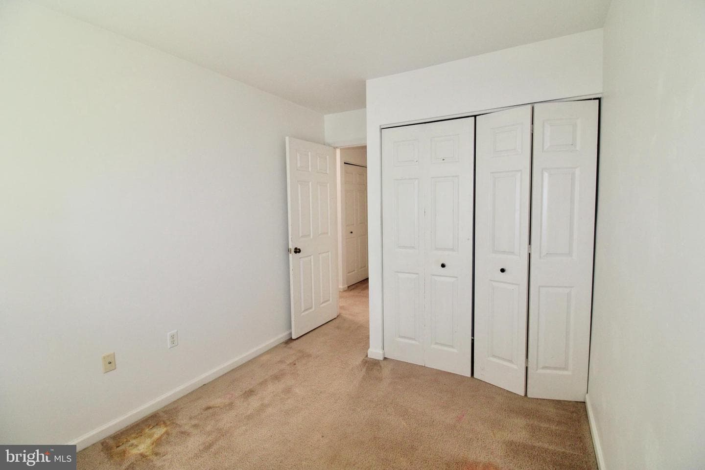 217 Quaking Aspen Lane photo 12