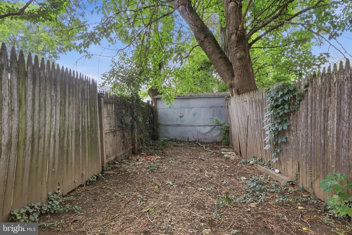 238 S 4th Street photo 32