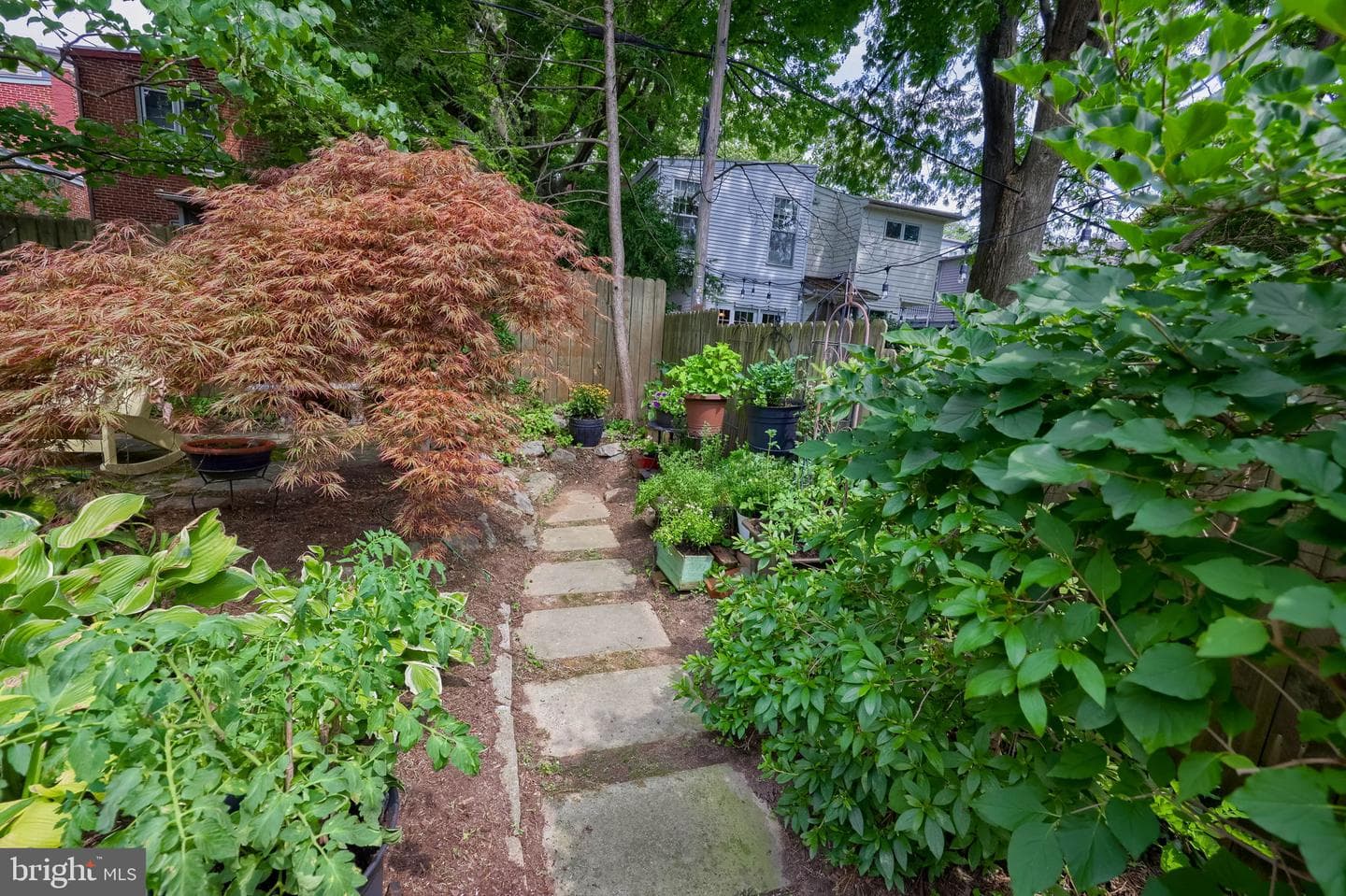 233 N Mary Street photo 56