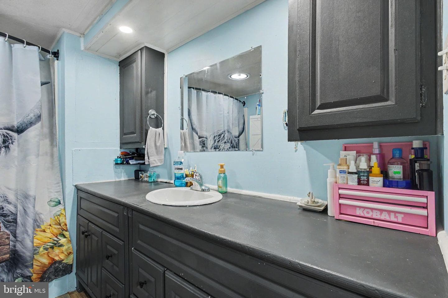 24 Ashton Drive photo 12