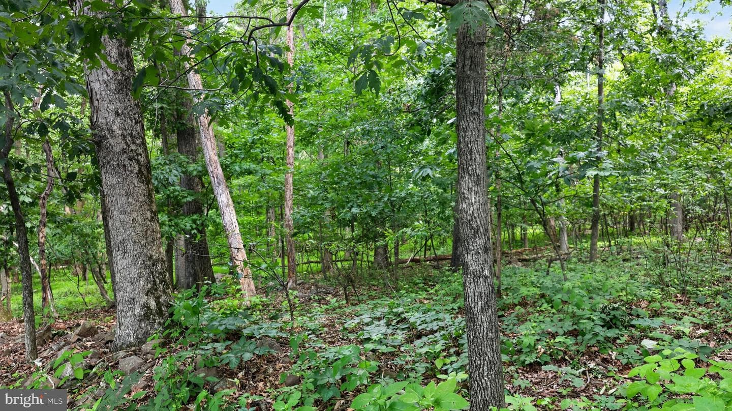 2571 Valley View Road photo 30