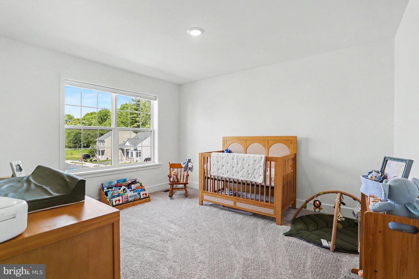 100 Meadows Bend photo 22