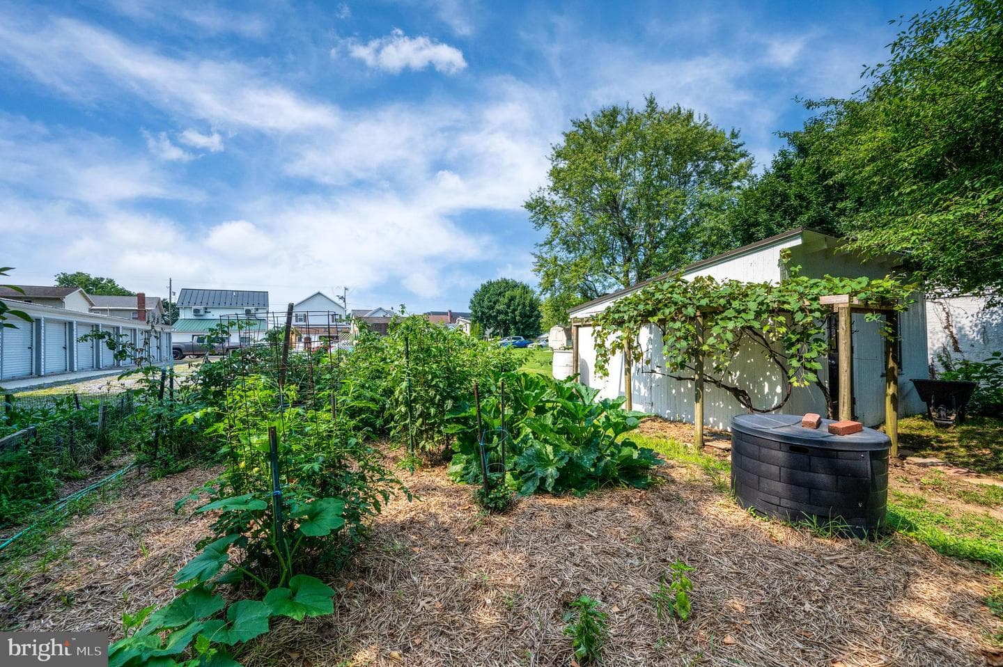724 Fulton Street photo 52