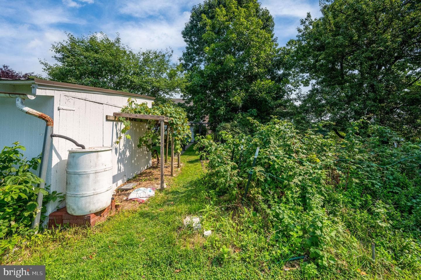 724 Fulton Street photo 54