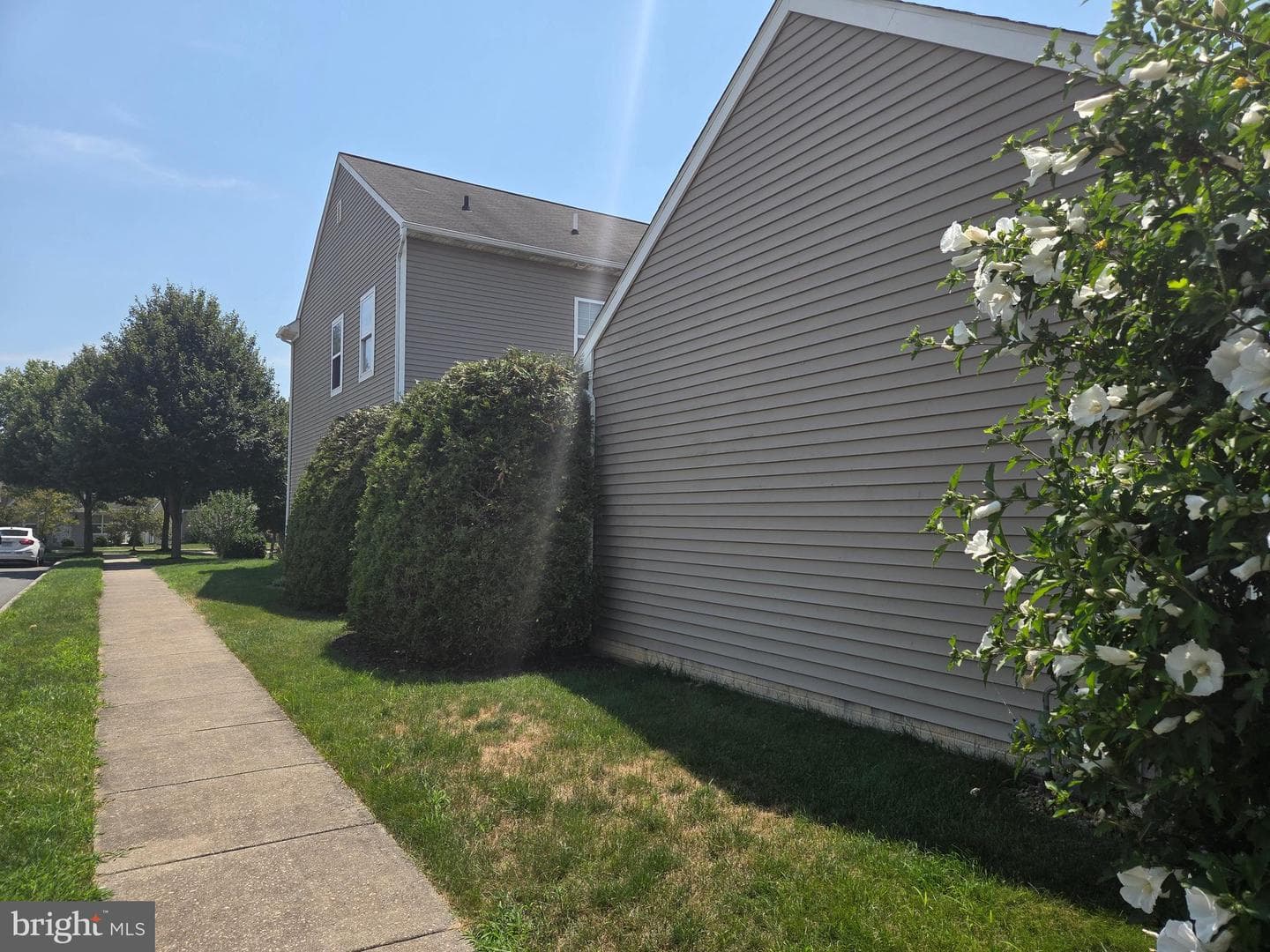 203 Heathersage Drive photo 6