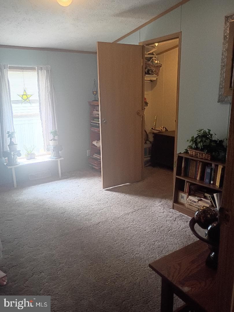 822 Sunny Lane photo 10