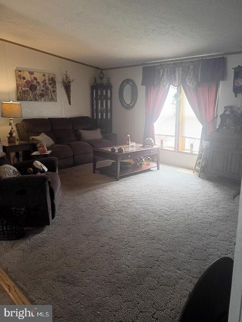 822 Sunny Lane photo 15