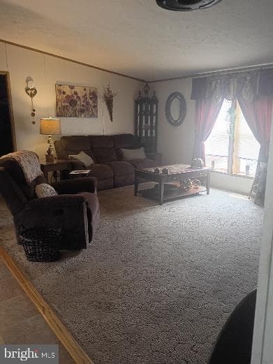 822 Sunny Lane photo 19
