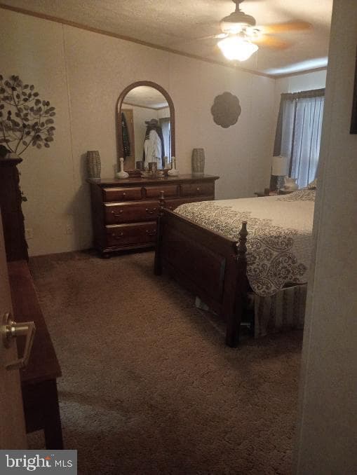 822 Sunny Lane photo 20