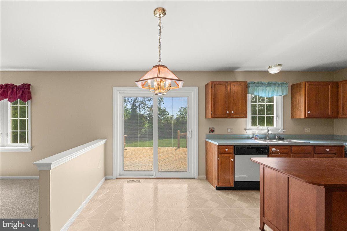 41 Apricot Avenue photo 18