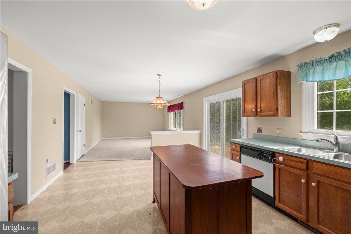 41 Apricot Avenue photo 20