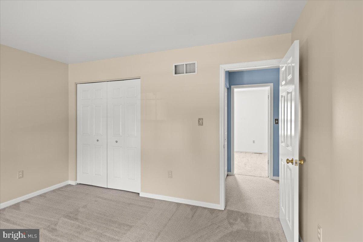 41 Apricot Avenue photo 28