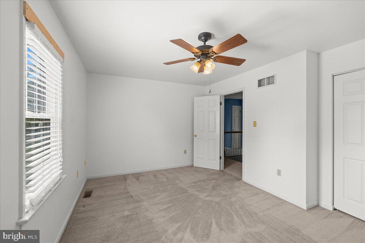 41 Apricot Avenue photo 32