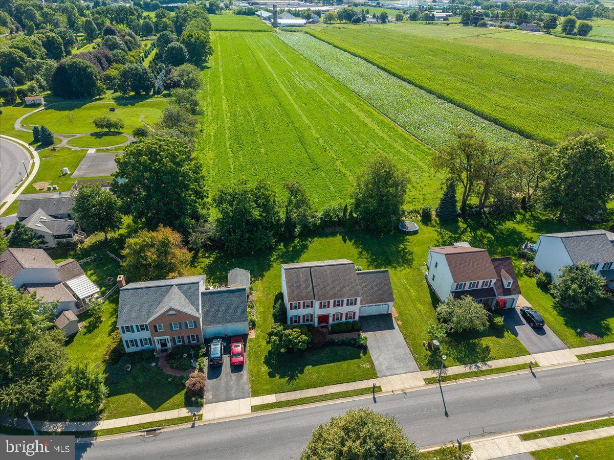 41 Apricot Avenue photo 45