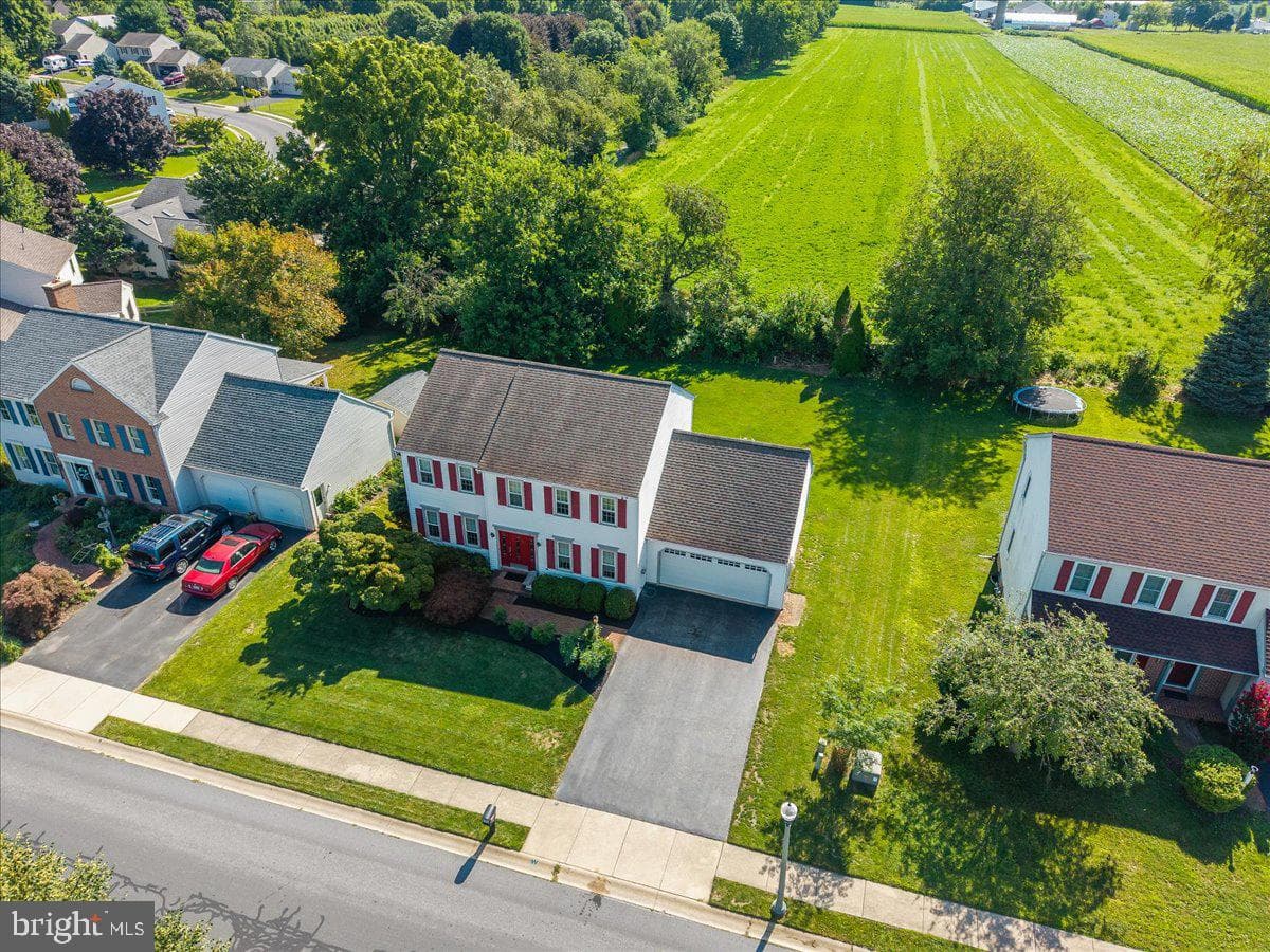 41 Apricot Avenue photo 46