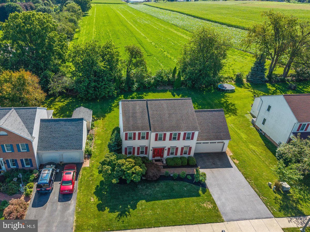 41 Apricot Avenue photo 47