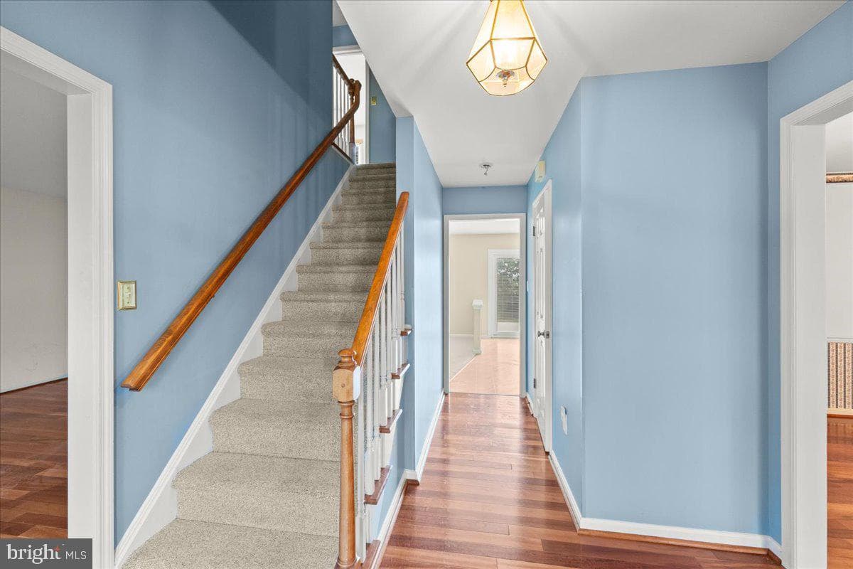41 Apricot Avenue photo 6