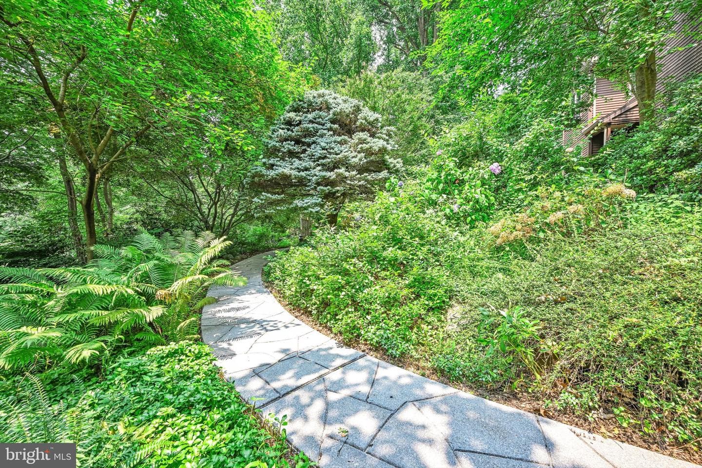 251 Poplar Lane photo 45