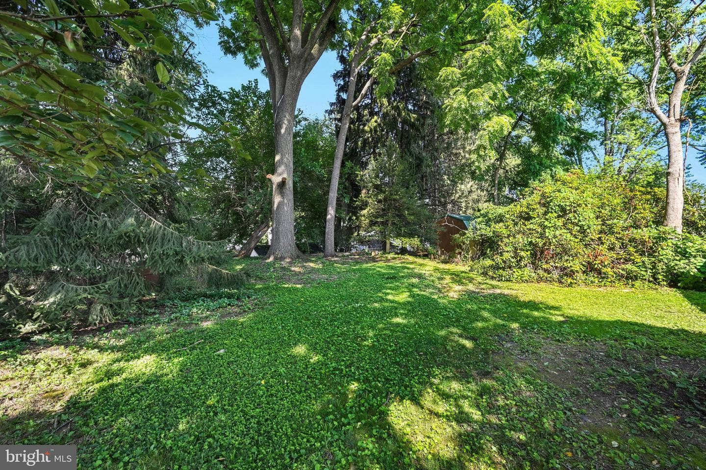 344 Abbeyville Road photo 22