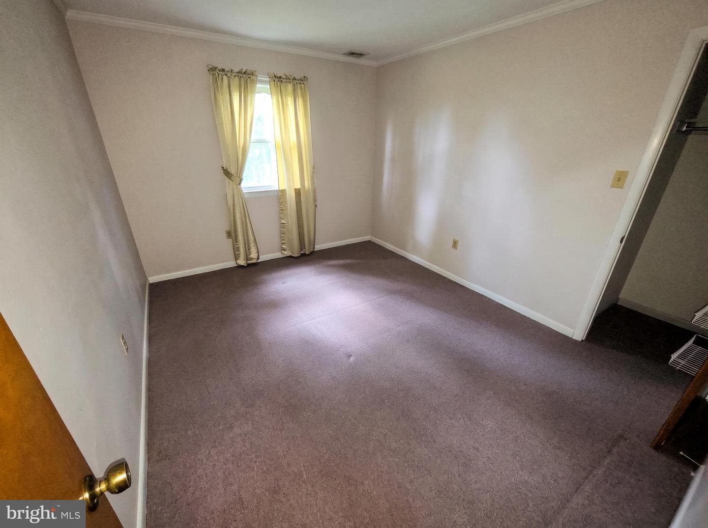51 Miller Drive photo 19