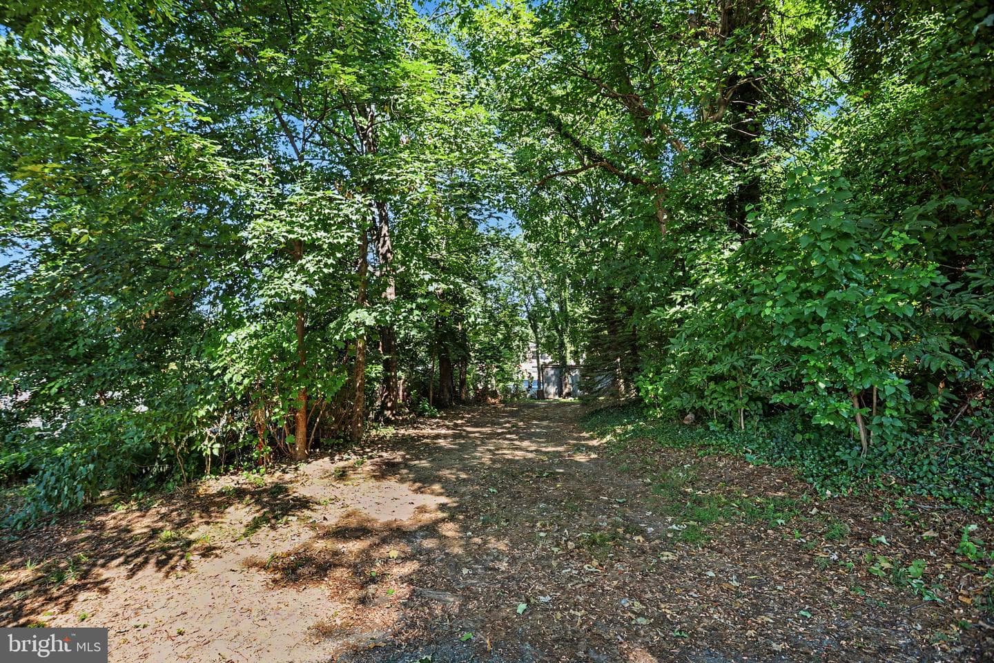 318 Linden Street photo 38