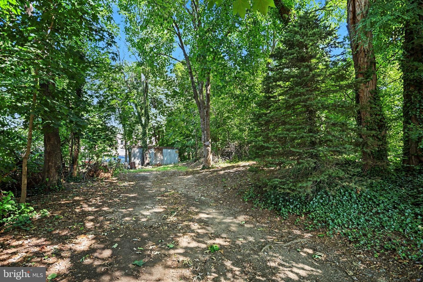 318 Linden Street photo 39