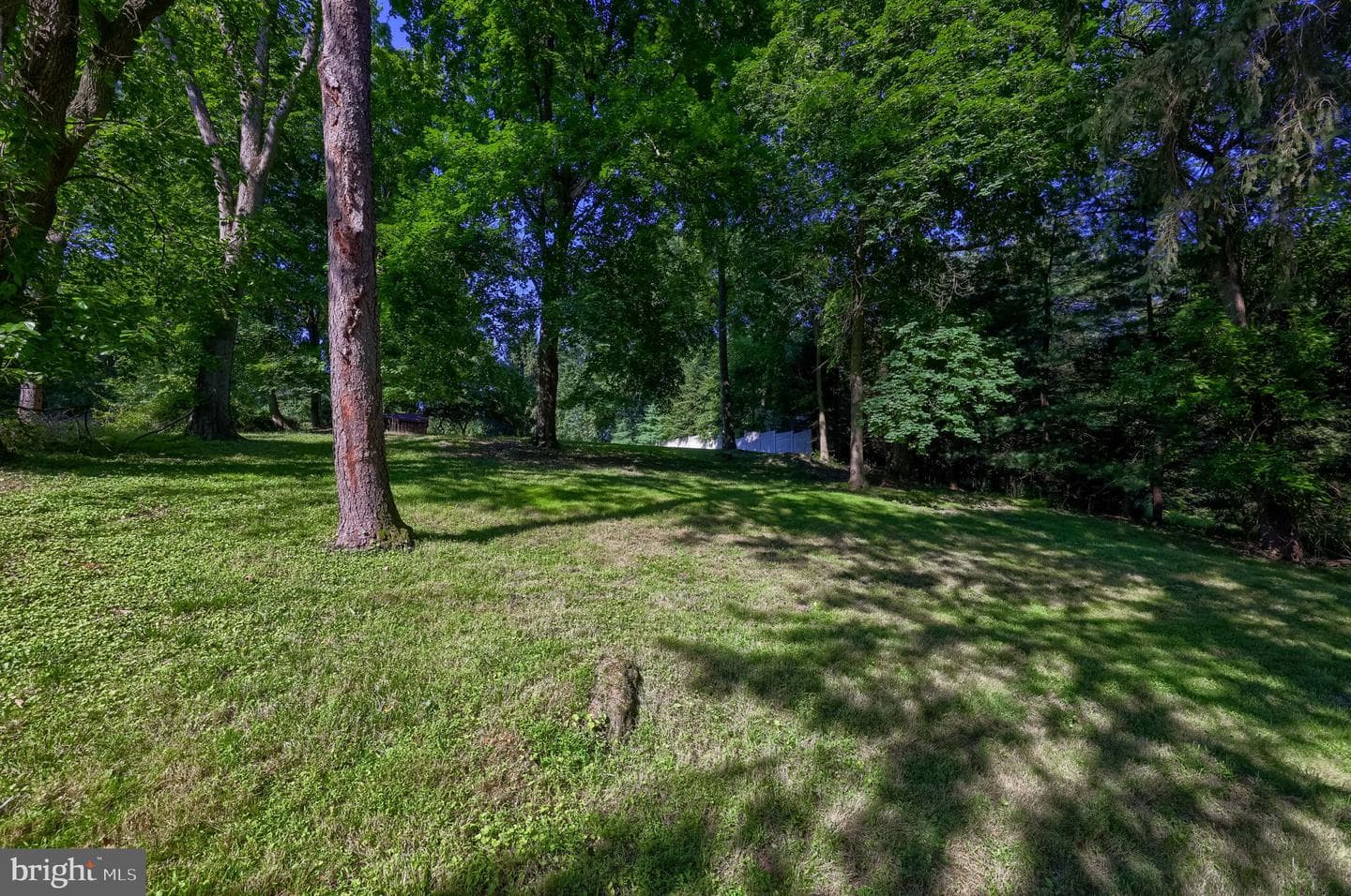 218 School House Road photo 53