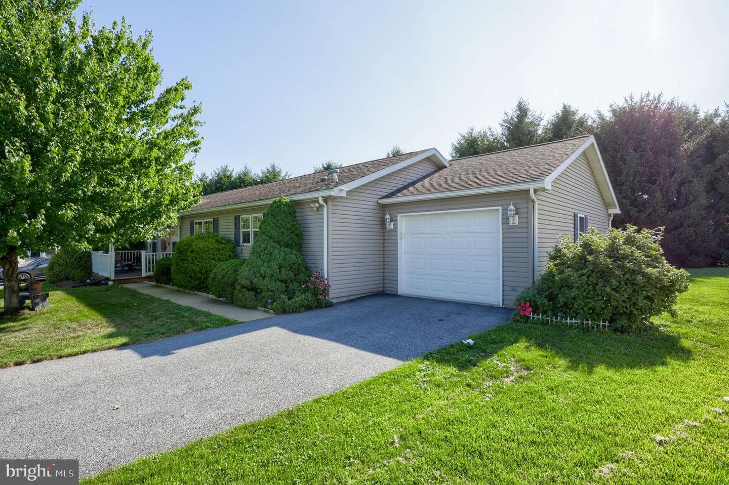 110 Homestead Drive photo 4